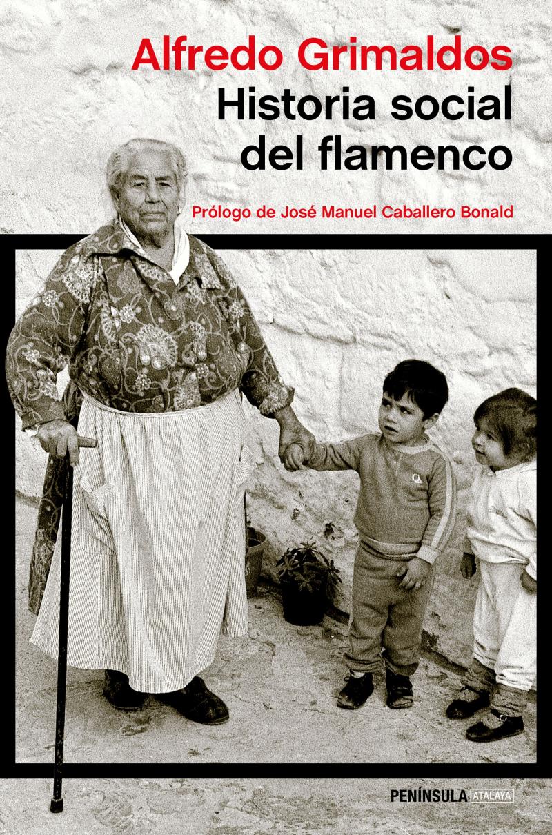 Portada del libro HISTORIA SOCIAL DEL FLAMENCO