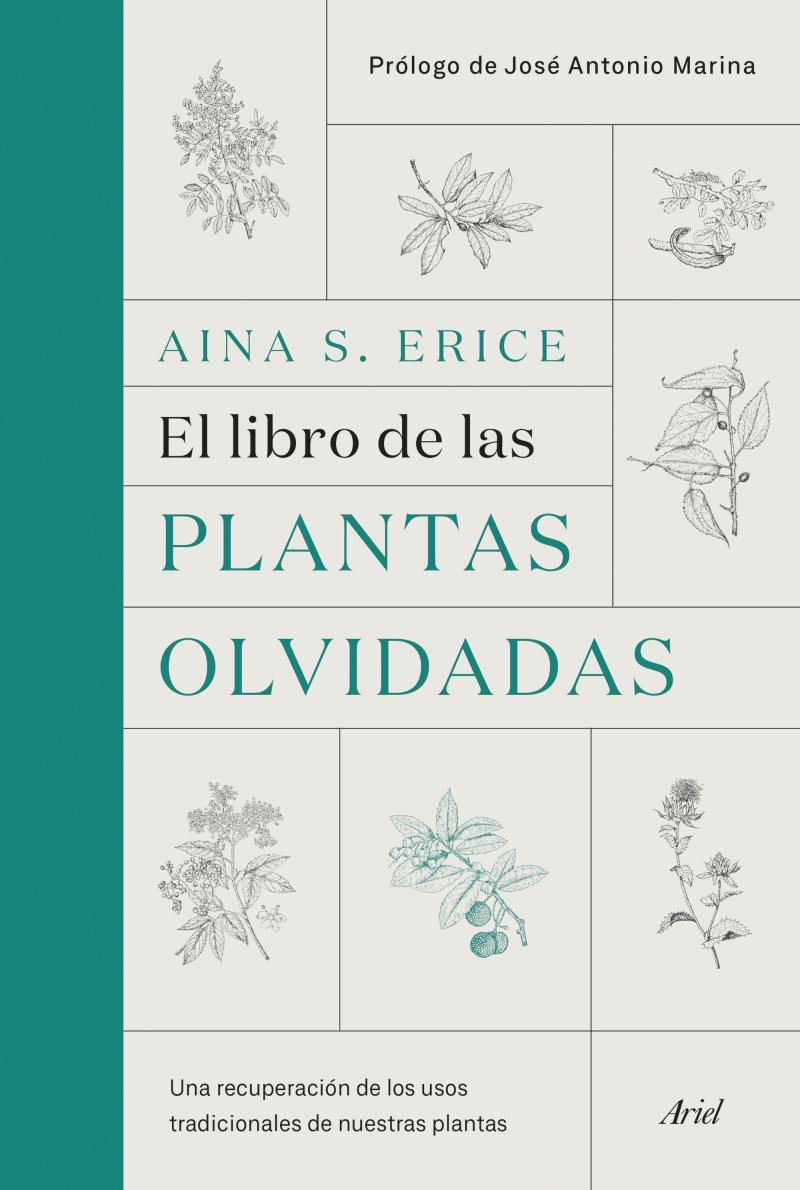 Portada del libro EL LIBRO DE LAS PLANTAS OLVIDADAS - UNA RECUPERACIÓN DE LOS USOS TRADICIONALES DE NUESTRAS PLANTAS
