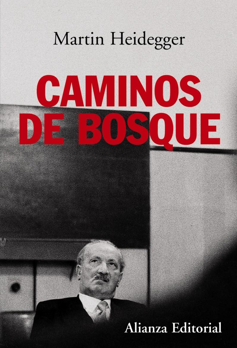 Portada del libro CAMINOS DE BOSQUE
