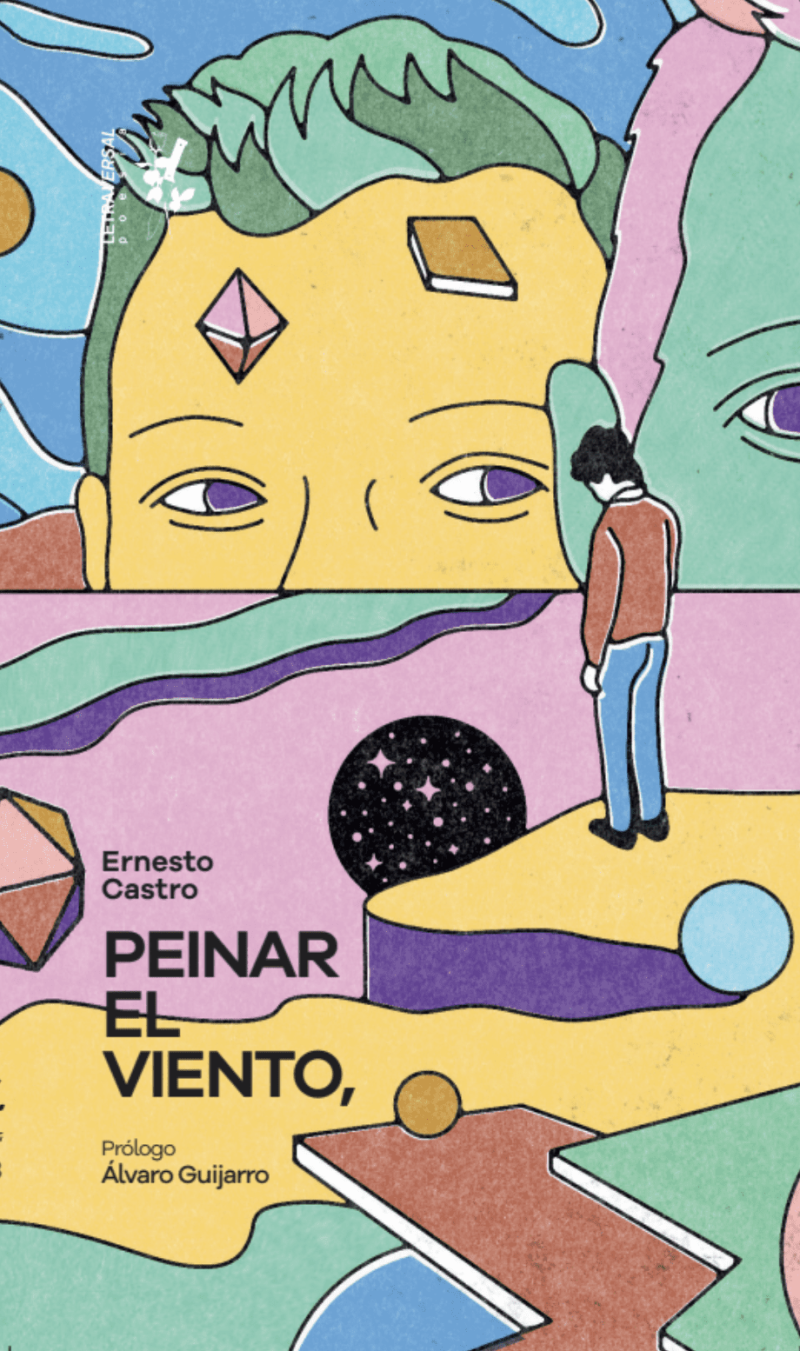 Portada del libro PEINAR EL VIENTO