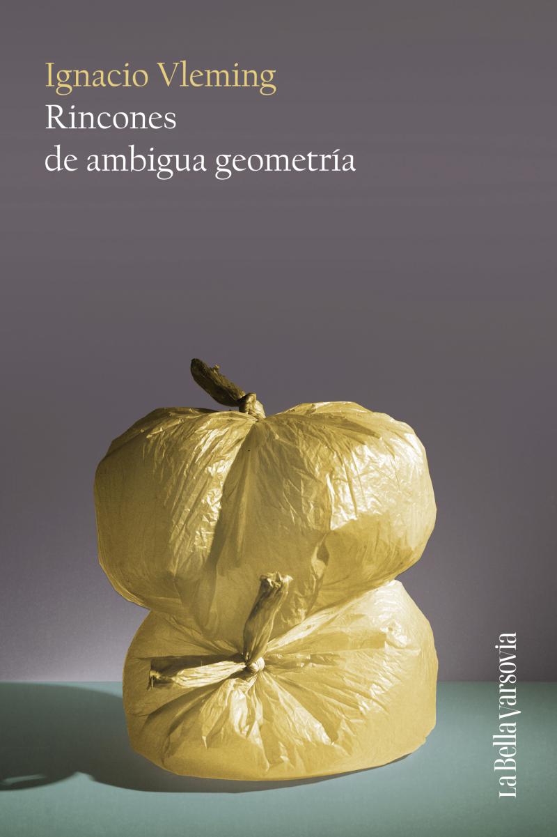 Portada del libro RINCONES DE AMBIGUA GEOMETRÍA
