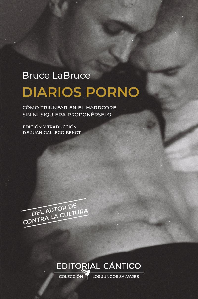 Portada del libro DIARIOS PORNO - CÓMO TRIUNFAR EN EL HARDCORE SIN NI SIQUIERA PROPONÉRSELO